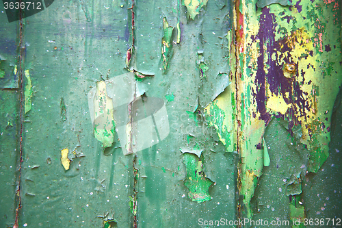 Image of green   abstract wood in englan   background