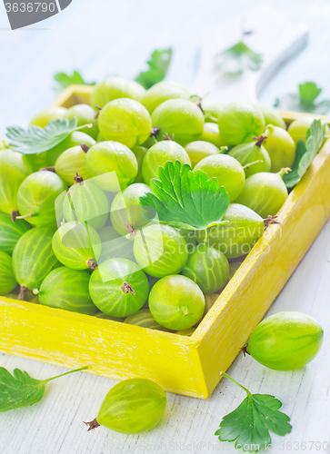 Image of gooseberry