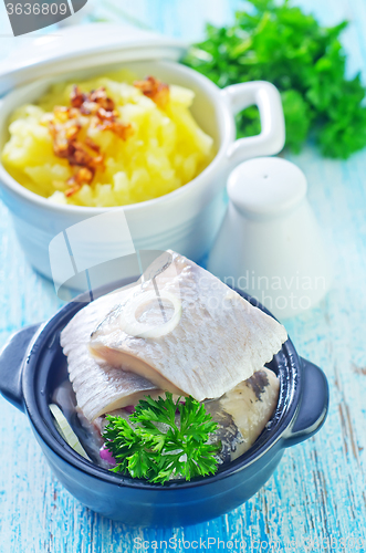 Image of herring