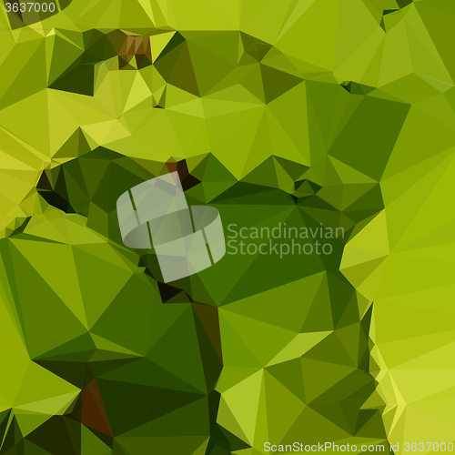 Image of Avocado Green Abstract Low Polygon Background