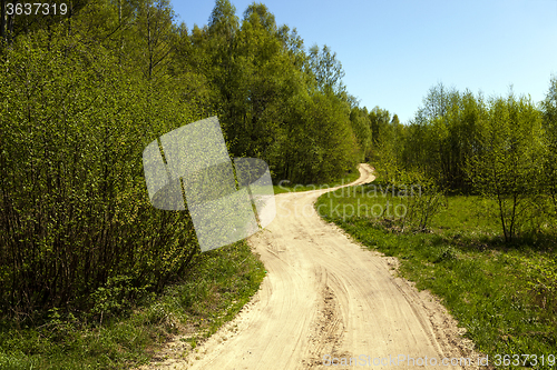 Image of Dirt road . forest.