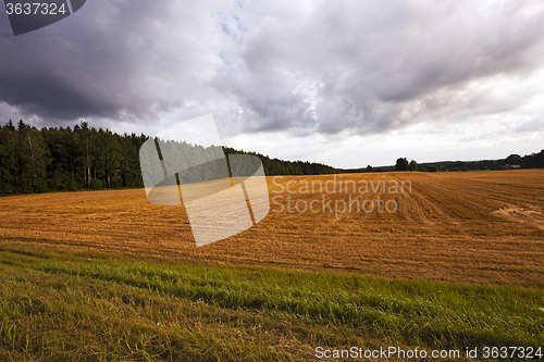 Image of cloudy weather .  field