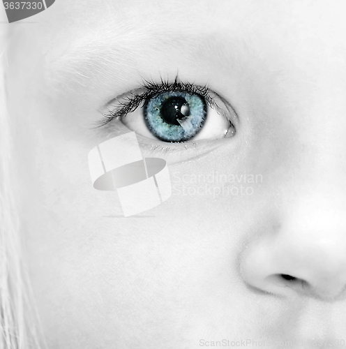 Image of Close up baby eye