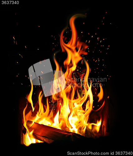 Image of burning log and fire