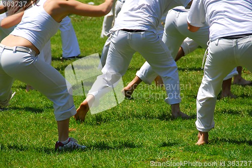 Image of Martial art students