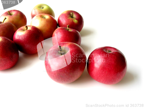 Image of Apples 5