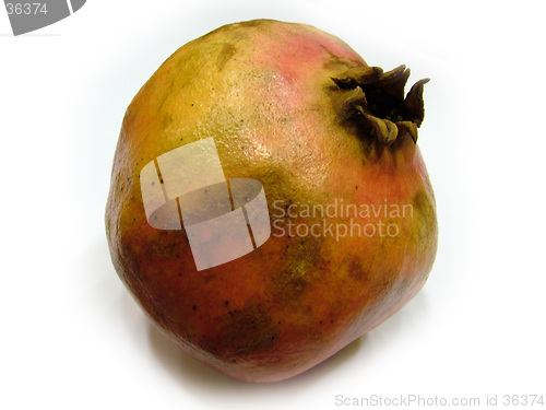 Image of pomegranate