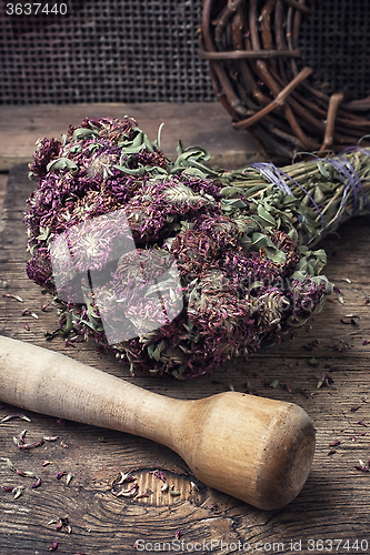 Image of Dried medicinal herb