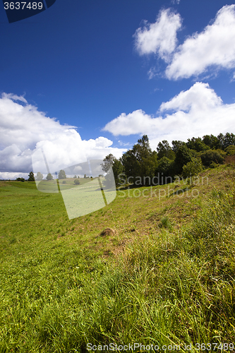 Image of agriculture field  . Away trees