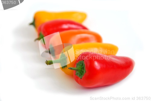 Image of Colorful peppers