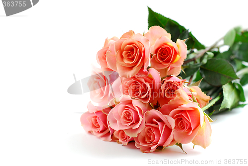 Image of Pink rose bouquet on white
