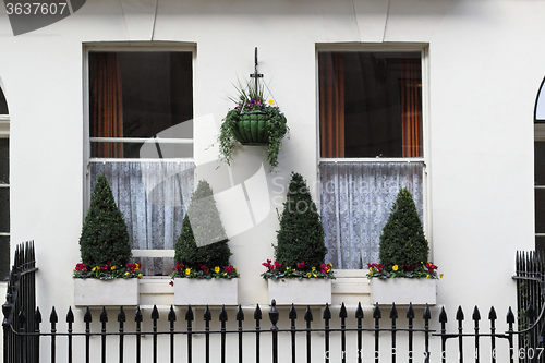 Image of Windows