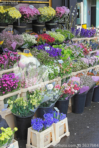 Image of Flower Shop
