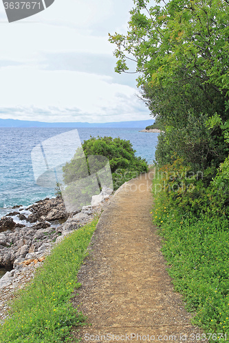 Image of Island Hiking Trail