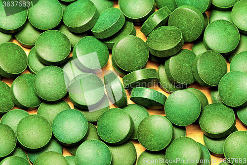 Image of Spirulina