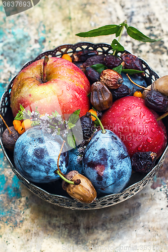 Image of Autumn fruits in the vase