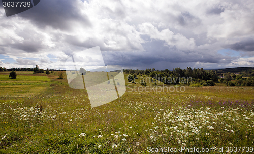Image of agriculture field . Stormy weather.