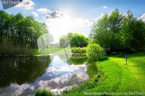 Image of Green park near river