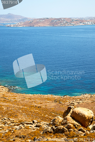 Image of bush   in delos greece the   old ruin site