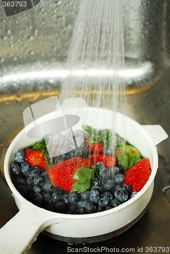 Image of Washing berries