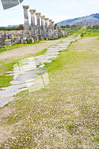 Image of volubilis in morocco africa the old  street