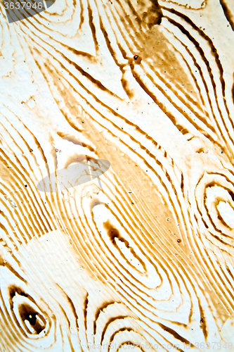 Image of nail dirty stripped paint in the brown wood   rusty yellow red