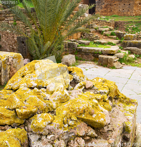 Image of chellah  in morocco africa the old roman deteriorated monument a