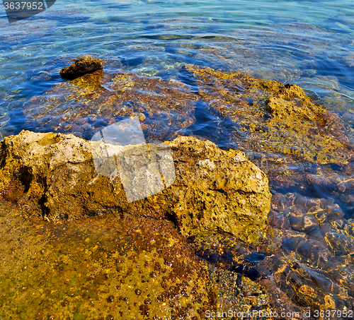 Image of brown  stone in the coastline sunrise and light ocean white sky