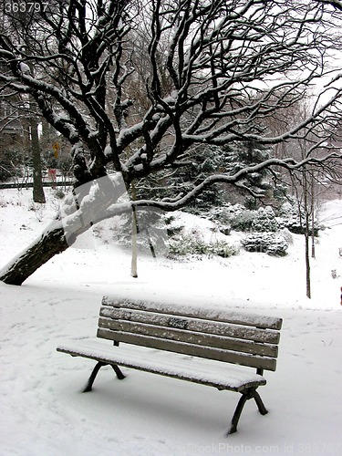Image of Winter bench 1