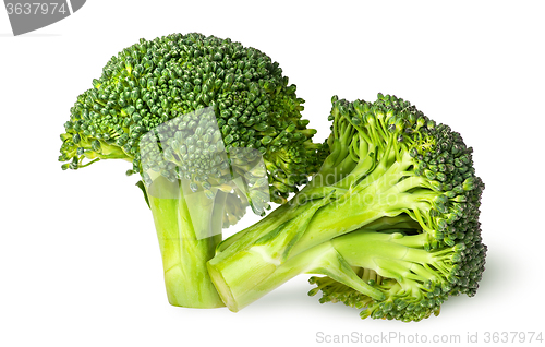 Image of Closeup of two juicy broccoli