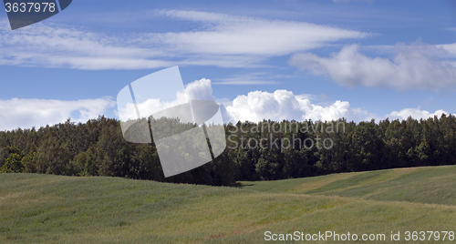 Image of agriculture field .  Away trees