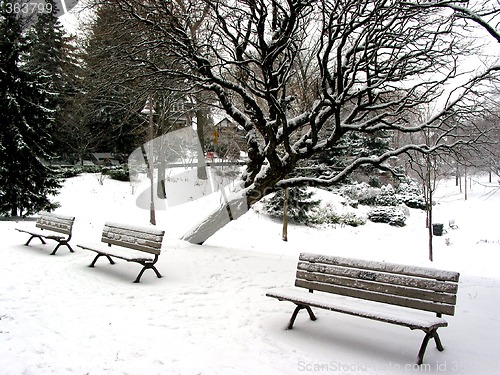 Image of Winter benches