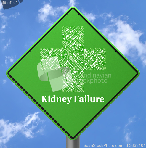 Image of Kidney Failure Indicates Lack Of Success And Affliction