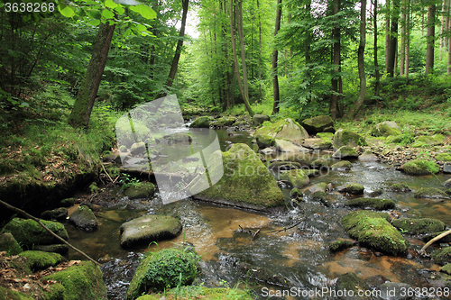 Image of river in the spring forest 
