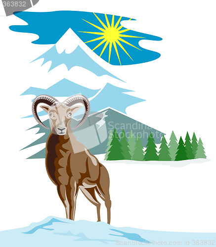 Image of Wild sheep with mountain in background