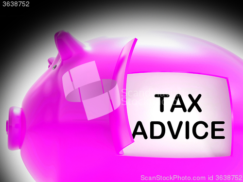 Image of Tax Advice Piggy Bank Message Shows Advising About Taxes