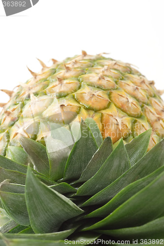 Image of Close up of a pineapple