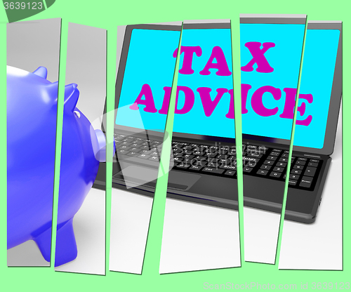 Image of Tax Advice Piggy Bank Shows Professional Advising On  Taxation