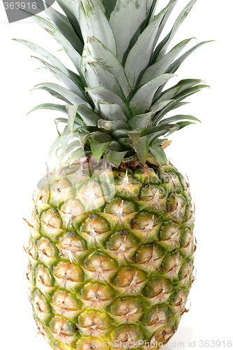Image of Tropical fruit