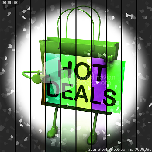 Image of Hot Deals Shopping Bag Shows Discounts and Bargains