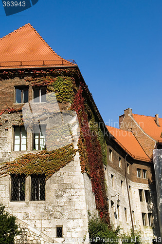 Image of Red roofs