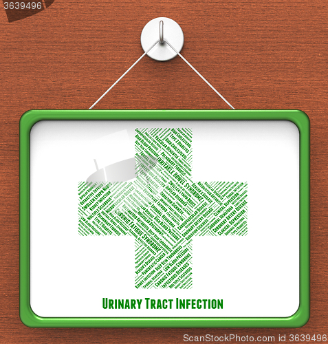 Image of Urinary Tract Infection Indicates Poor Health And Uti