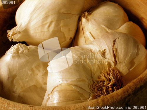 Image of garlic