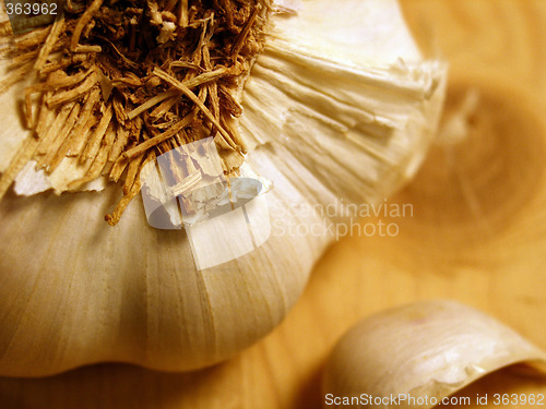 Image of garlic