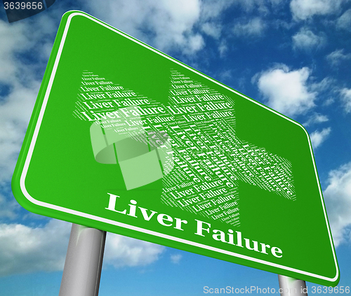 Image of Liver Failure Shows Lack Of Success And Affliction
