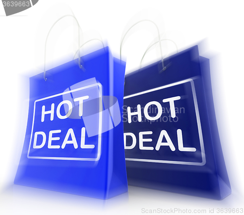 Image of Hot Deal Shopping Bags Show Shopping  Discounts and Bargains