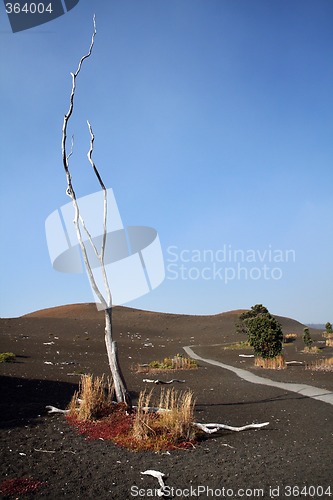 Image of Big island, Hawaii