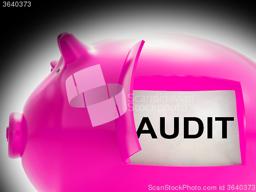 Image of Audit Piggy Bank Message Means Inspection And Validation