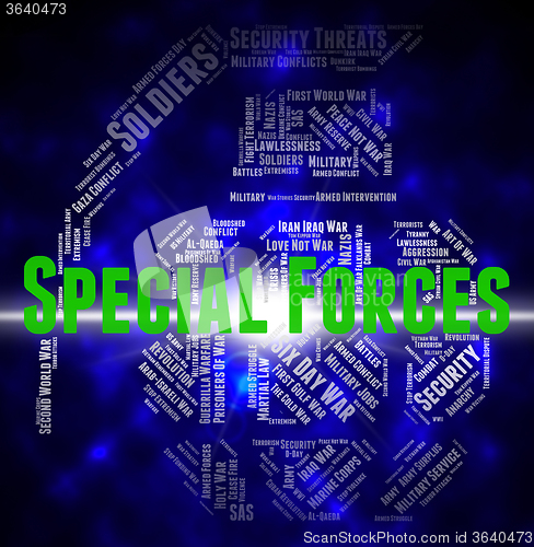 Image of Special Forces Means High Value And Airborne