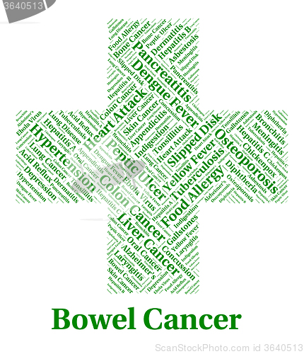 Image of Bowel Cancer Indicates Large Intestines And Affliction